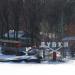Турбаза «Дубки» в городе Саратов