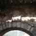 Pizanella Gate in Budva city