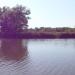 Пляж № 1 в городе Белая Церковь