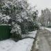 СНТ «ВАСХНИЛ» в городе Домодедово