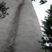 Schlossturm