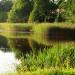 Staw Drobowizna (pl) in Tychy city