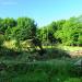Wierzba (pl) in Tychy city