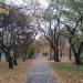 Park koło rynku in Tychy city