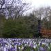 Alexandra Park