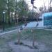Дерево молодожёнов в городе Хабаровск