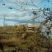 Деревообрабатывающий завод в городе Комсомольск-на-Амуре