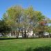 Park 
