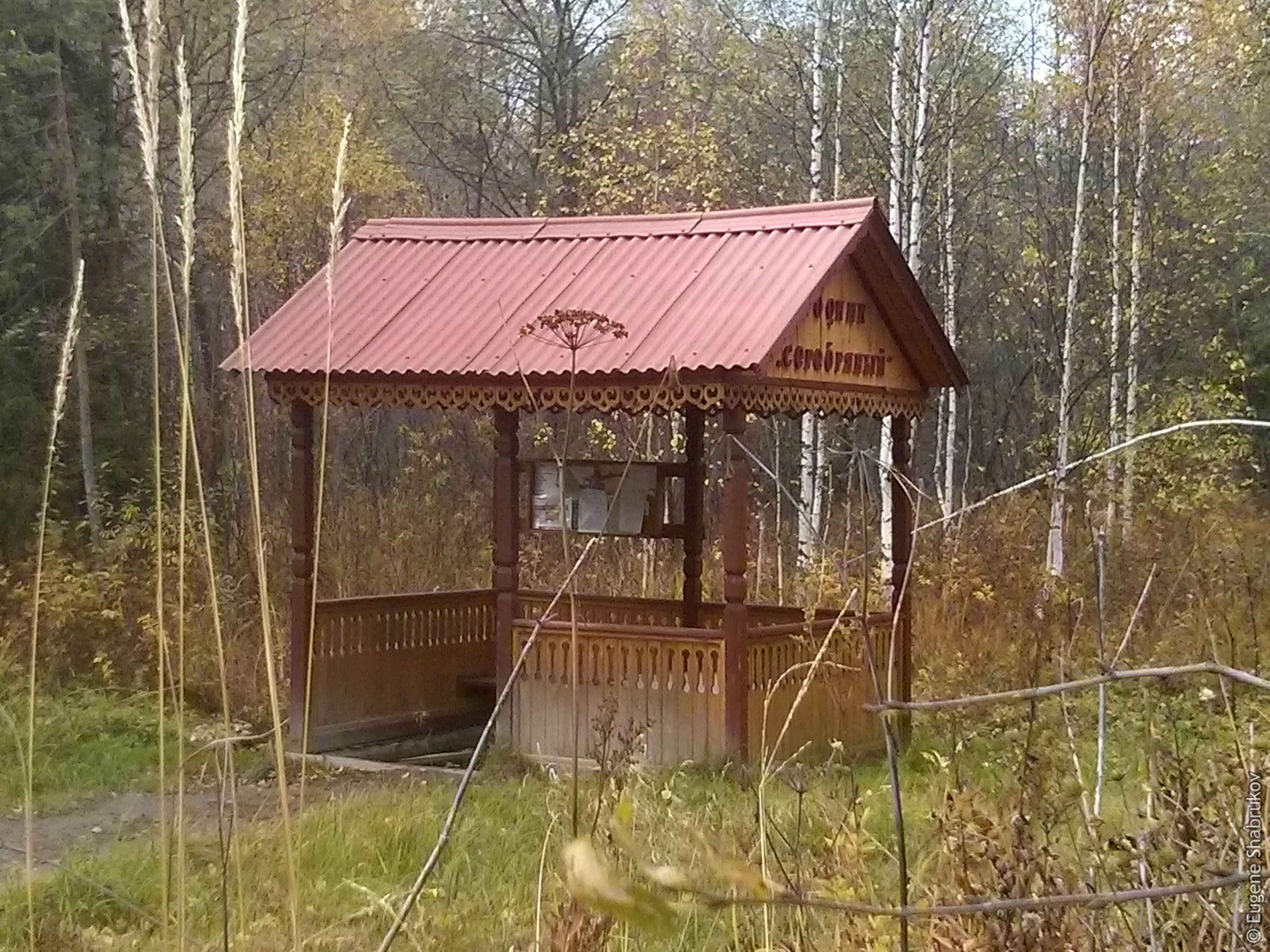 Родник «Серебряный»