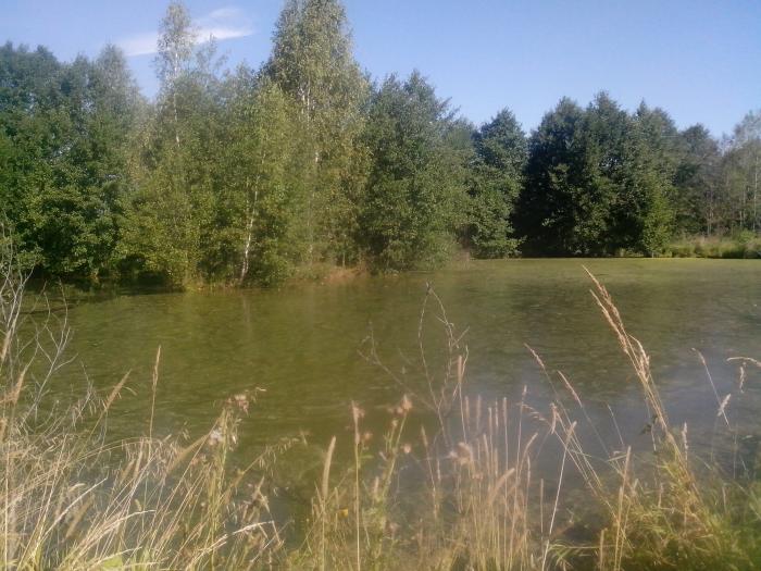 рыбхоз заря рыбалка нижний рыбхоз заря рыбалка нижний