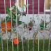Огороженная территория в городе Старая Купавна