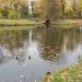 Ozerki Ponds