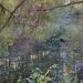Pond