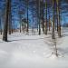 Развалины школы № 4 в городе Заветы Ильича