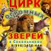 Цирк больших зверей в Сокольниках в городе Москва