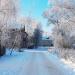Новоселенинская ул., 32 в городе Великие Луки