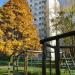 Plac zabaw (pl) in Warsaw city