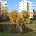 Staw wiekszy (pl) in Warsaw city
