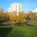 Staw wiekszy (pl) in Warsaw city