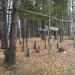Палаточный городок в городе Новосибирск