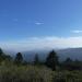 Mount Tamalpais State Park