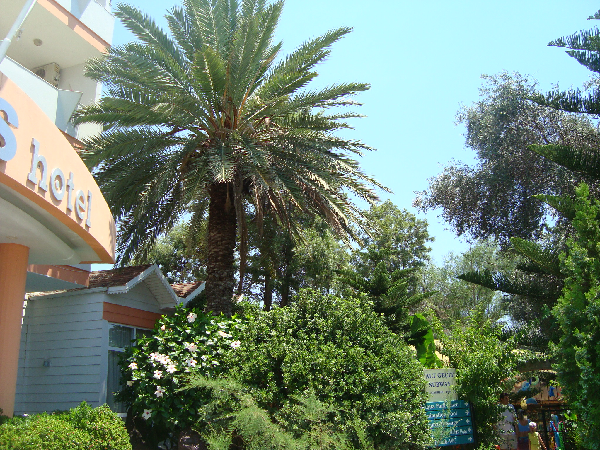 klas hotel alanya iletişim
