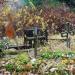 Latvian Cemetery