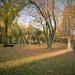 Dawny cmentarz - obecnie park in Zabrze city