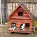 Cat house in Istanbul Metropolitan Municipality city