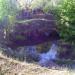 Pond in Peremohy Park in Zhytomyr city
