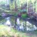 Pond in Peremohy Park in Zhytomyr city