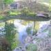 Pond in Peremohy Park in Zhytomyr city