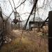 Лесопилка в городе Правдинский