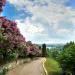 Jardin botanique national Hryshko