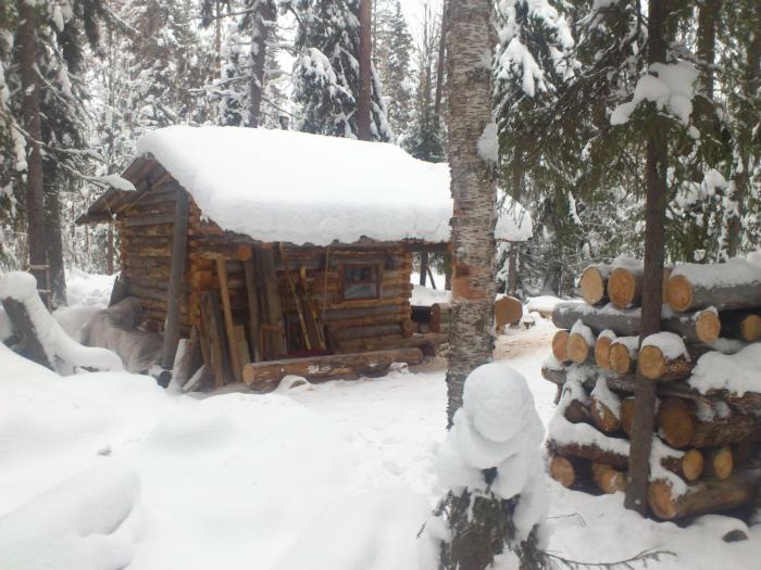 Изба сухая Архангельск