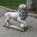 Lions in Istanbul Metropolitan Municipality city