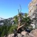 Mount Lassen (Lassen Peak)