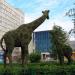 Клумба «Жирафы» в городе Красноярск