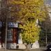 Фармо доктор в городе Воронеж