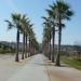 Parque Vega de Triana en la ciudad de Sevilla