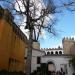 Patio del León en la ciudad de Sevilla