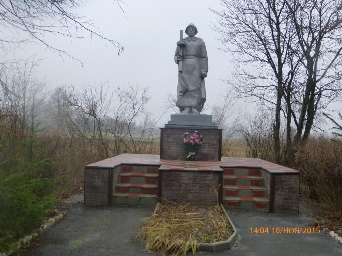 Памятник павшим односельчанам в годы войны   Надежка image 2