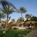 Beach Albatros Sharm 4* (он же: Beach Albatros Resort)