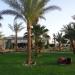 Beach Albatros Sharm 4* (он же: Beach Albatros Resort)