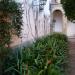 Jardín de la Alcubilla en la ciudad de Sevilla