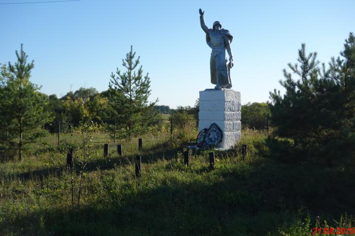 Памятник воинам, погибшим в годы Великой Отечественной войны   Богослово image 5
