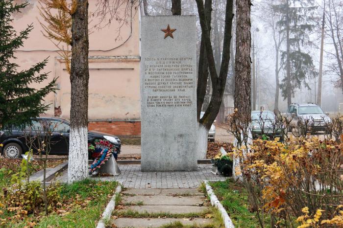 Псковская область деревня Дедовичи