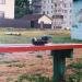 Детская площадка в городе Великие Луки