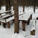 Стоянка туристов и грибников в городе Пермь