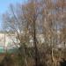 Администрация г. Великие Луки в городе Великие Луки